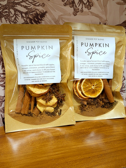 Pumpkin Spice Simmer Pot